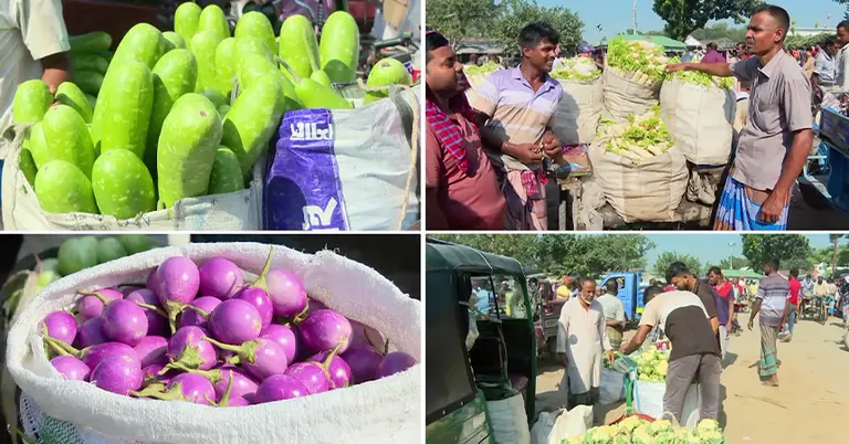 মহাস্থান পাইকারি সবজির বাজার